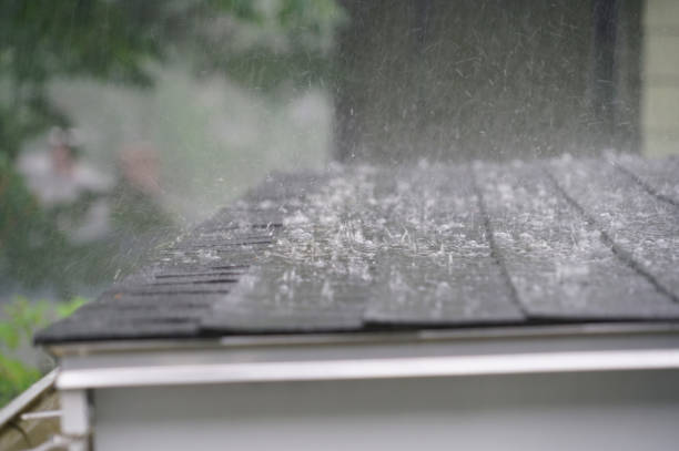 Best Emergency Roof Repair Services  in Watervliet, MI